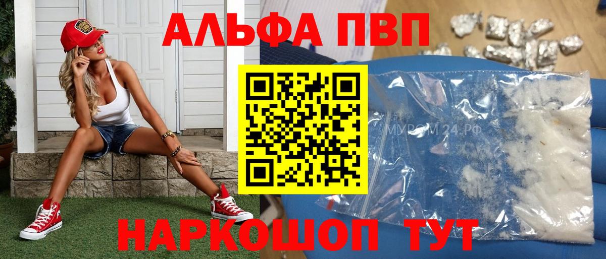 A-PVP СК Котовск