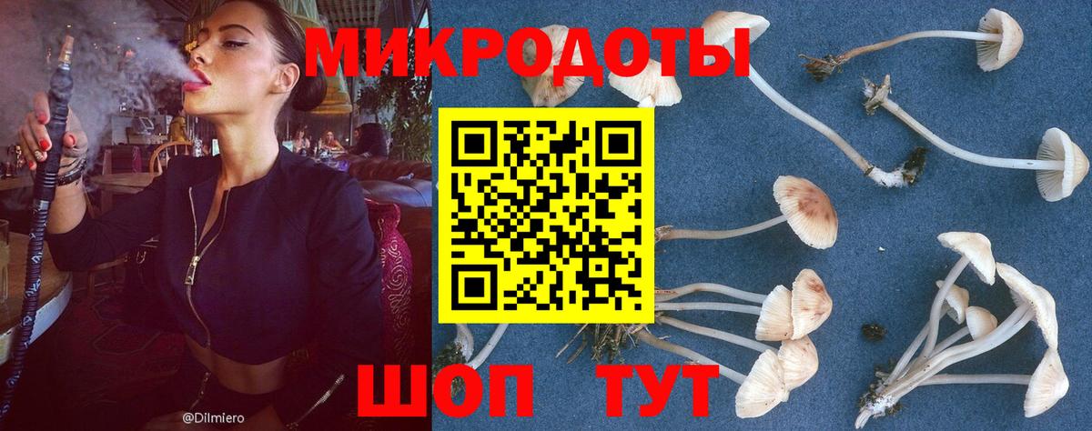 Галлюциногенные грибы Cubensis Котовск
