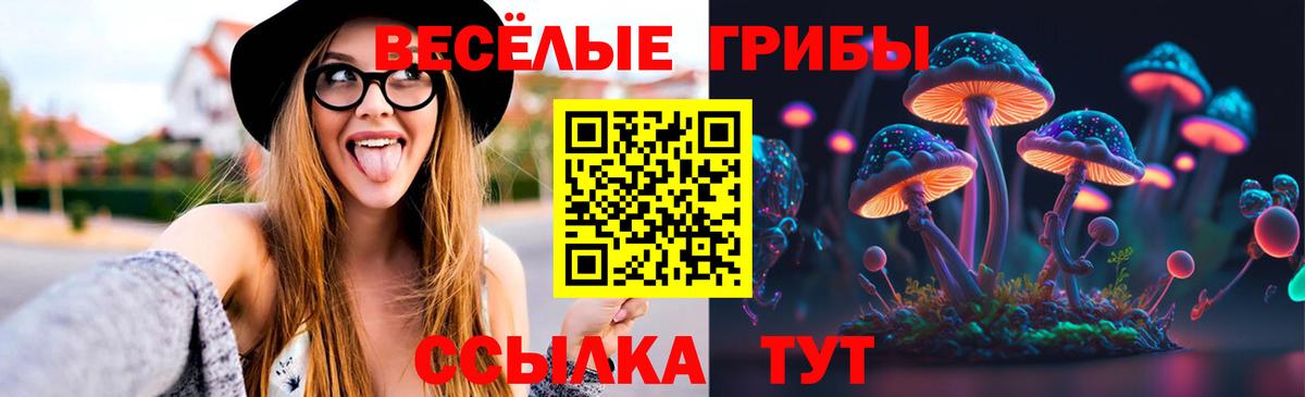 Котовск  Галлюциногенные грибы мицелий  Галлюциногенные грибы Magic Shrooms  Вход с VPN 
